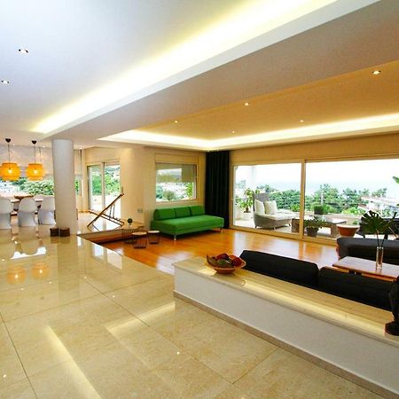 Aerides Luxury Villa Palaiontsiflikion Luaran gambar