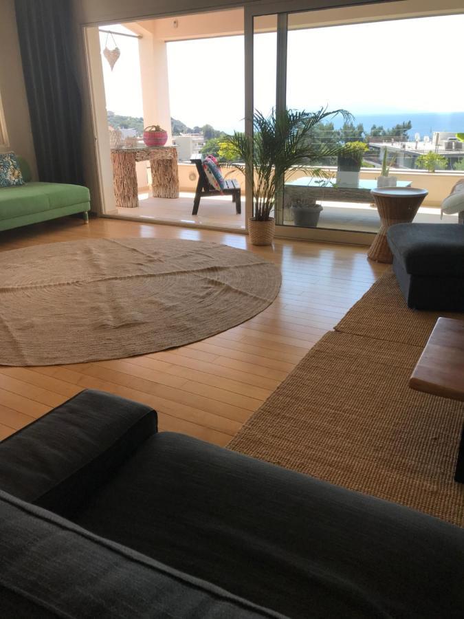 Aerides Luxury Villa Palaiontsiflikion Luaran gambar