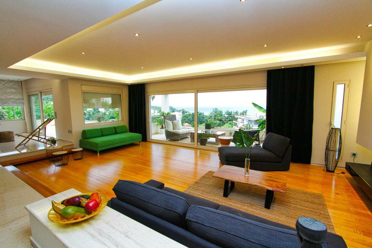 Aerides Luxury Villa Palaiontsiflikion Luaran gambar
