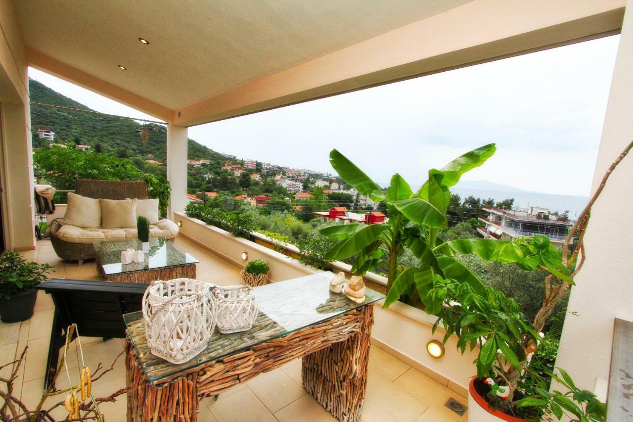 Aerides Luxury Villa Palaiontsiflikion Luaran gambar