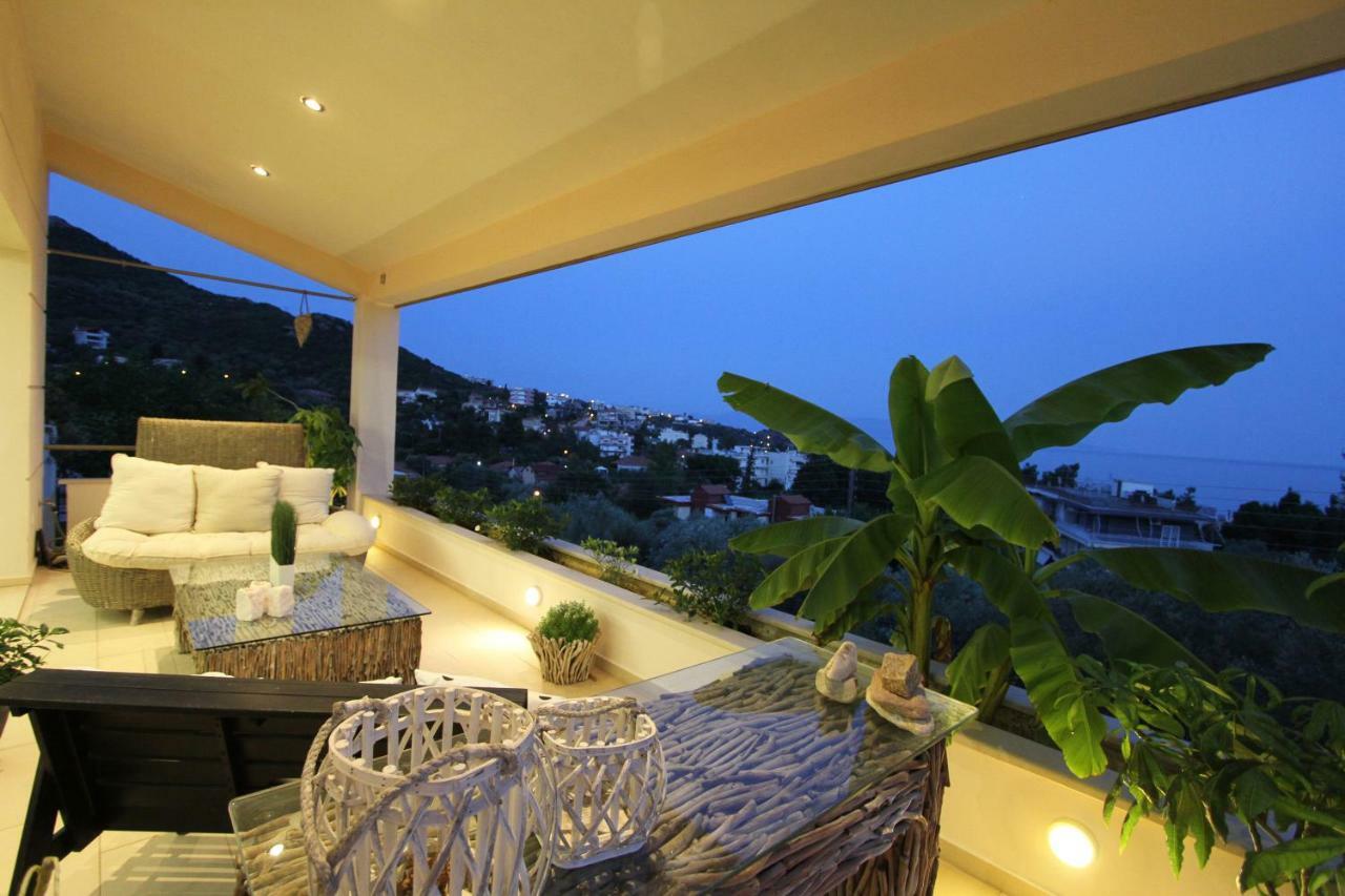 Aerides Luxury Villa Palaiontsiflikion Luaran gambar